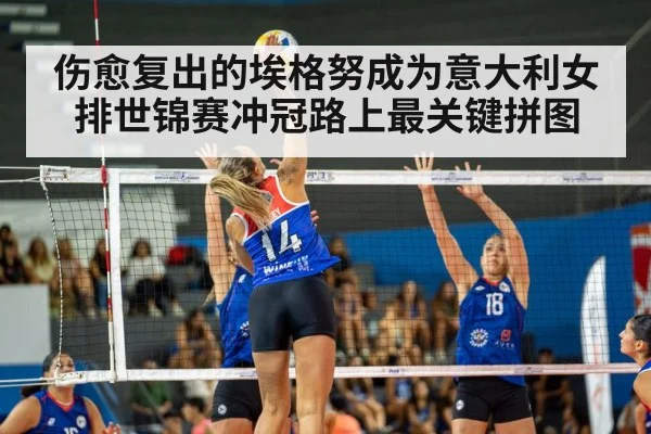 伤愈复出的埃格努成为意大利女排世锦赛冲冠路上最关键拼图