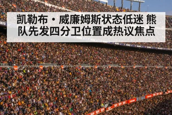 football stadium crowd
